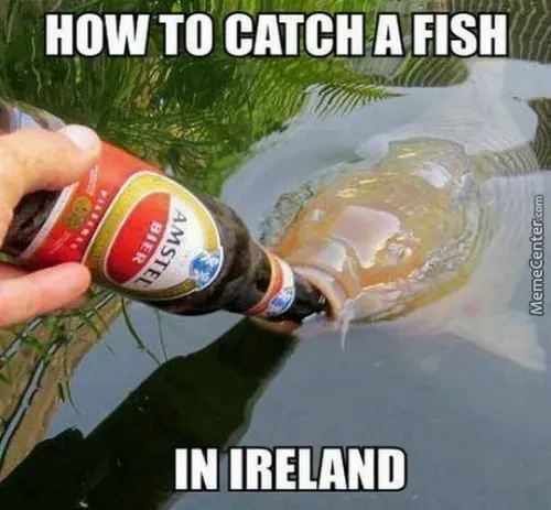 Fishing in Ireland Irish Memes