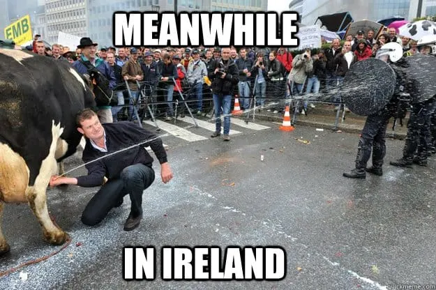 Irish meme of Cow and police lol