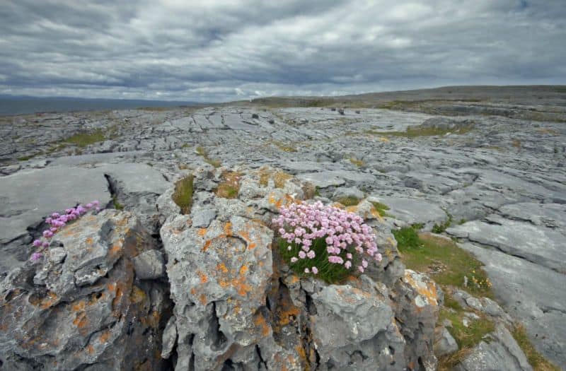 The Burren in Irelands. Most beautiful places to visit in Ireland ...