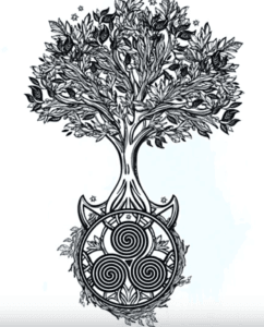 Celtic tree of life the meaning of it (1)