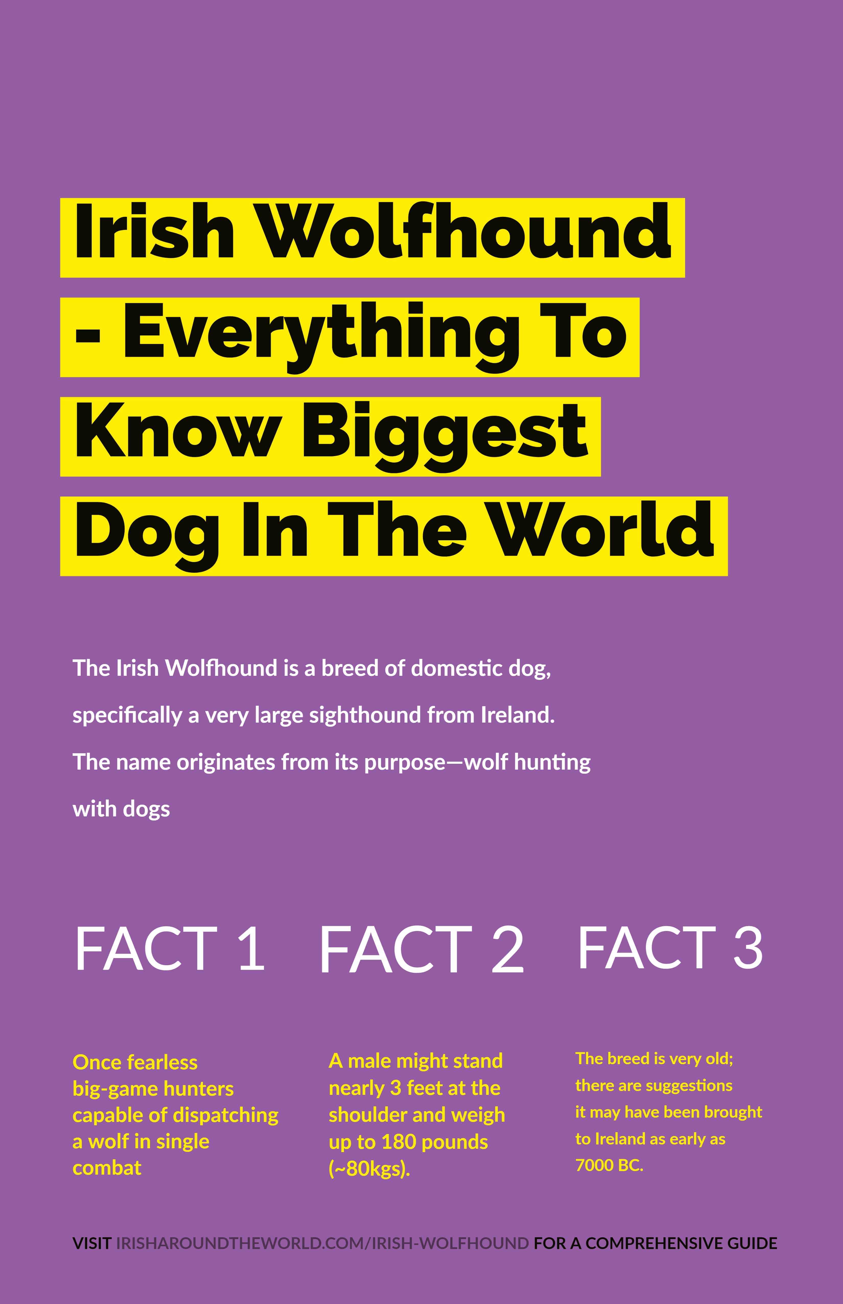 15 Things You Didn't Know About The Irish Wolfhound