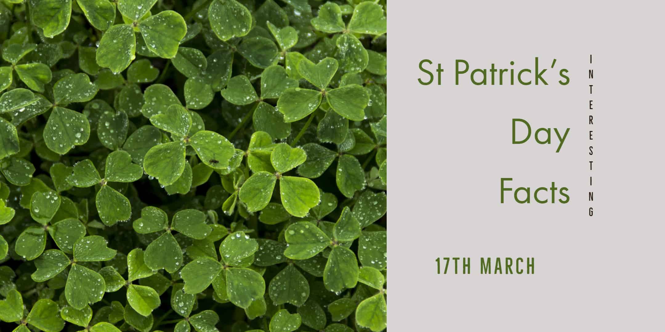 The 17 Most Interesting St Patrick's Day Facts - 17th March 2019