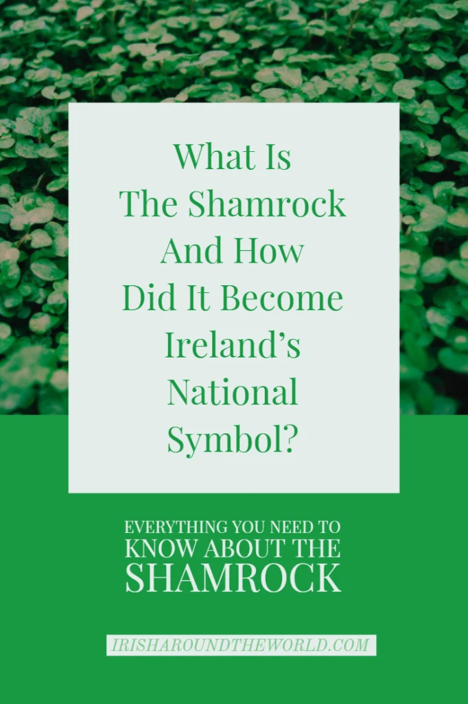 What Is The Shamrock And How Did It Become Ireland's National Symbol