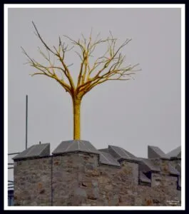 Golden tree on top of Belvelly