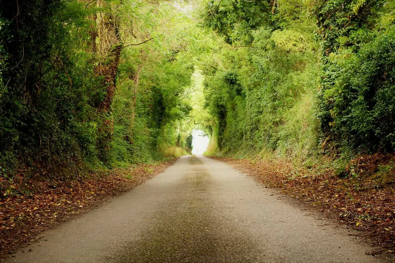 The Gordon Bennett Route, Co Carlow, Co Kildare and Co Laois