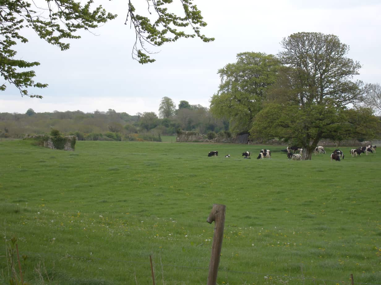 St Katherine’s Abbey, Co Limerick one of the Haunted Places Around Ireland