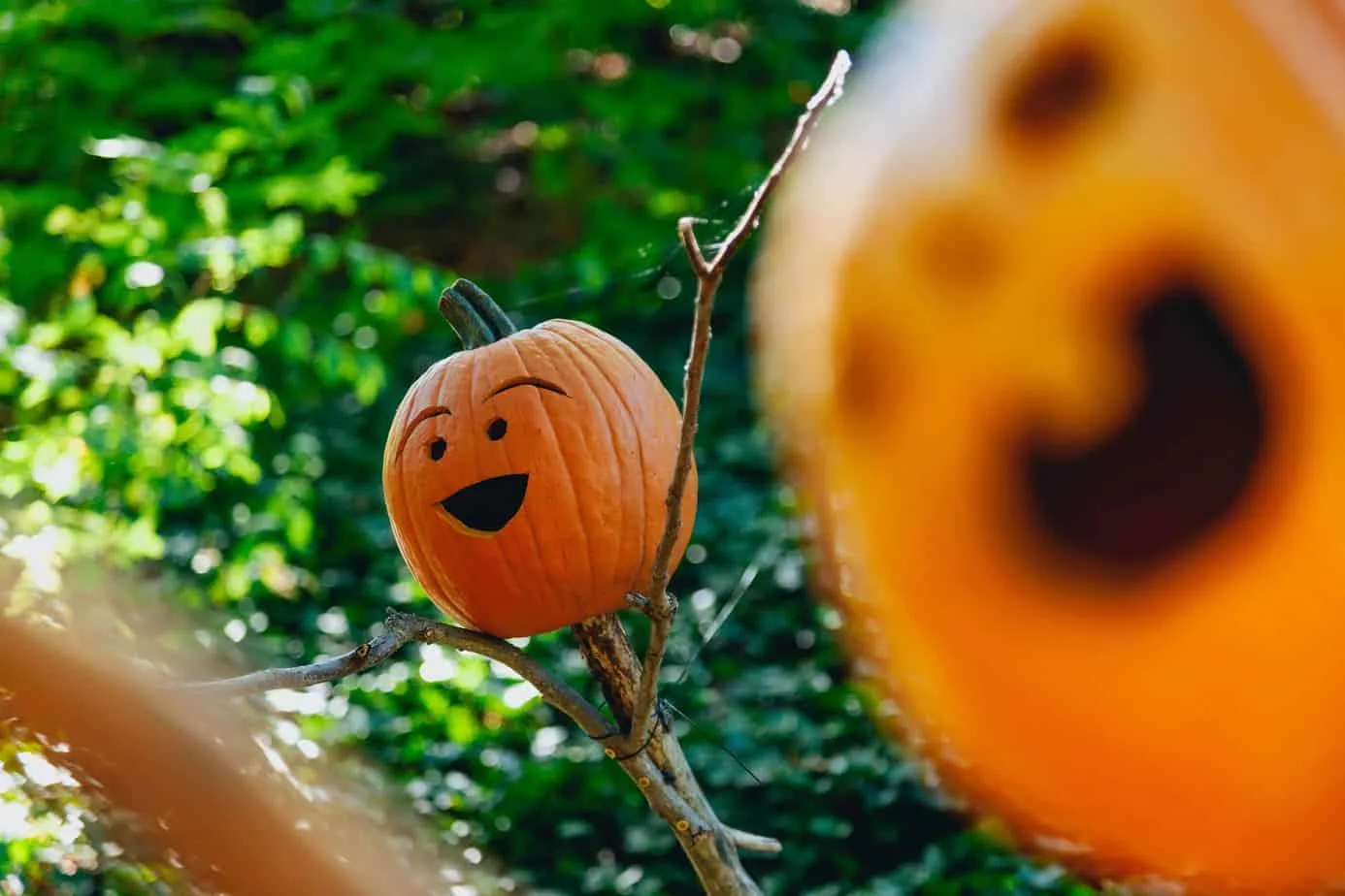 A picture of a funny looking Jack o lantern for halloween