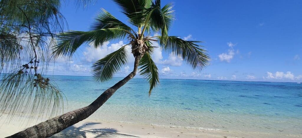 The Last Irishman Stranded On The Cook Islands