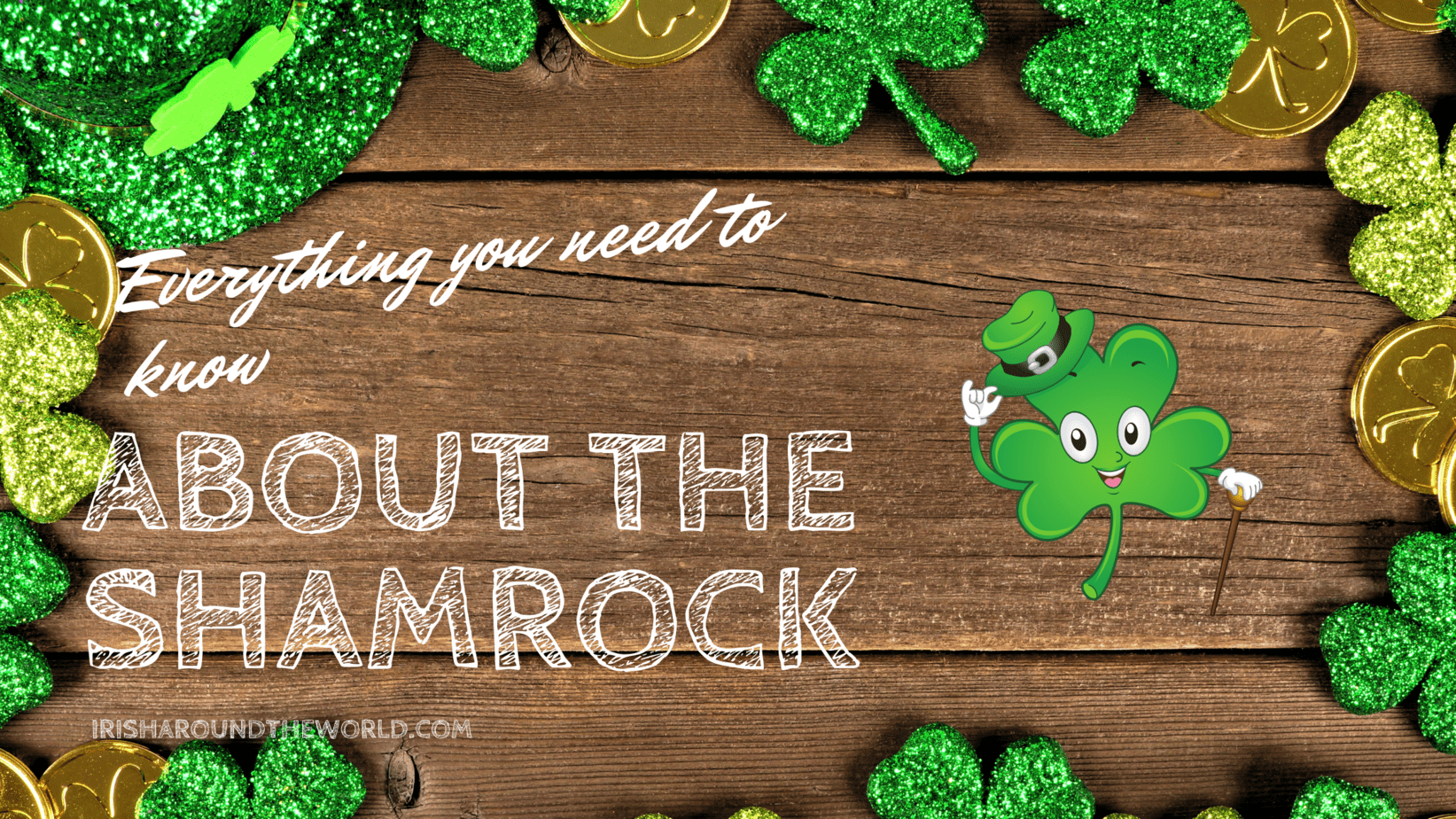 Everything You Didn't Know About The Shamrock And It's Irish History