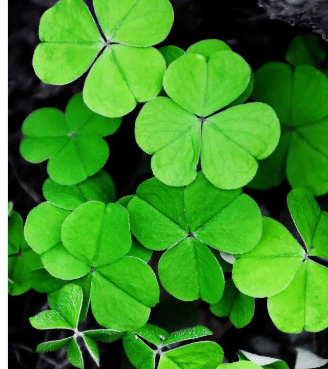 100 Facts About Ireland Perfect For St Patrick’s Day