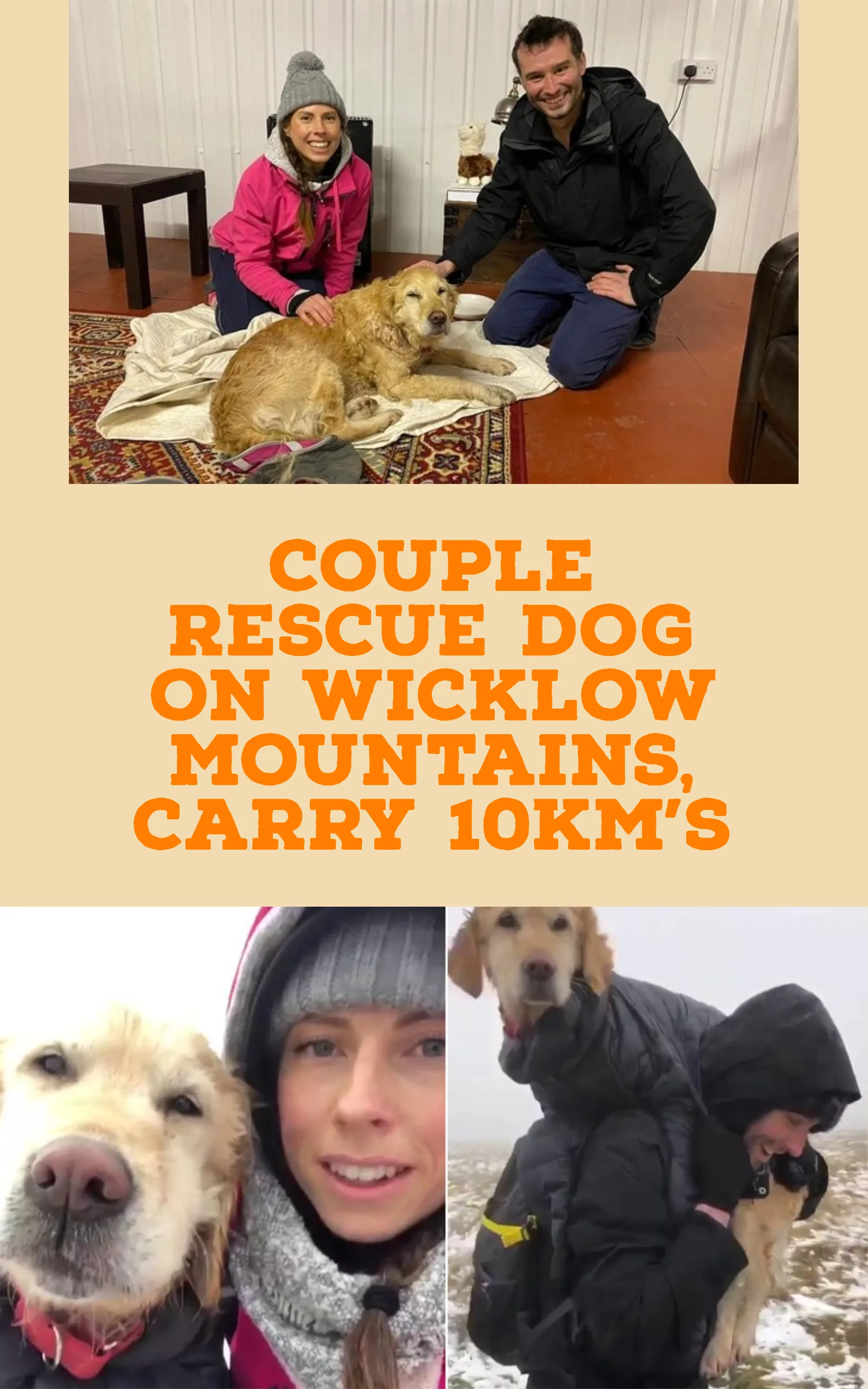 A dog missing for two weeks was found in the Wicklow mountains and reunited with her owners this weekend.  Jean-Francois Bonnet and Ciara Nolan were out for a hike on Lugnaquilla, close to where they live in Co Wicklow on Saturday.  Near the summit they found an 8-year-old golden retriever called Neesha, who was &ldquo;frozen&rdquo;.
