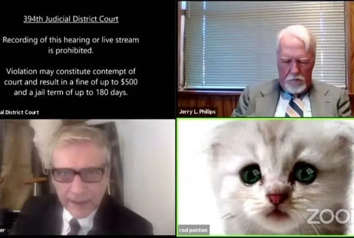 cat lawyer filter