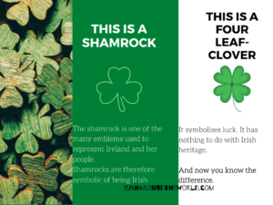 The difference between a shamrock and a four leaf clover
