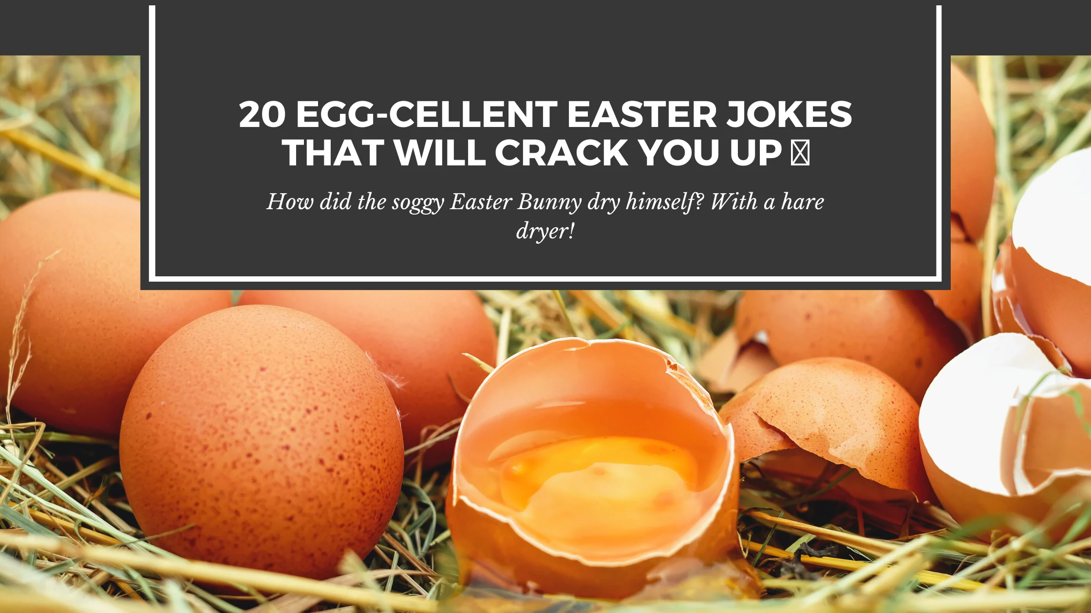  20 Egg-cellent Easter Jokes That Will Crack You Up