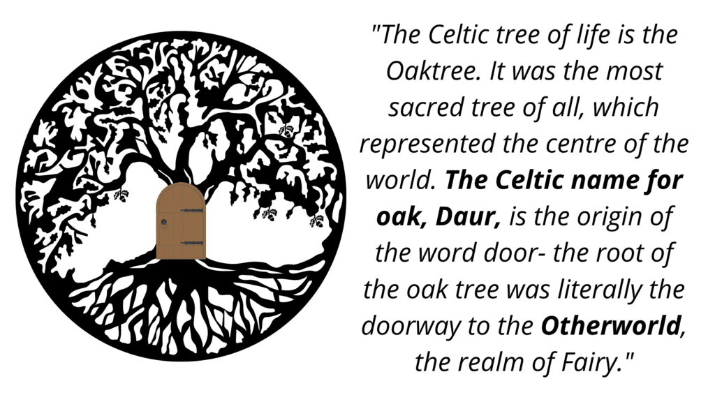 The Celtic tree of life is the Oaktree. It was the most sacred tree of all, which represented the centre of the world. The Celtic name for oak, Daur, is the origin of the word door- the root of the oak tree was literally the doorway to the Otherworld, the realm of Fairy.