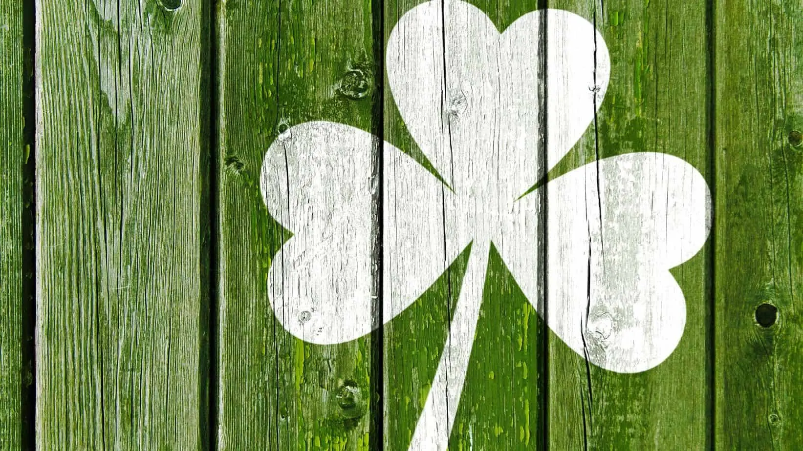 Four Leaf Clover Folklore Meaning St Patrick Day 2018