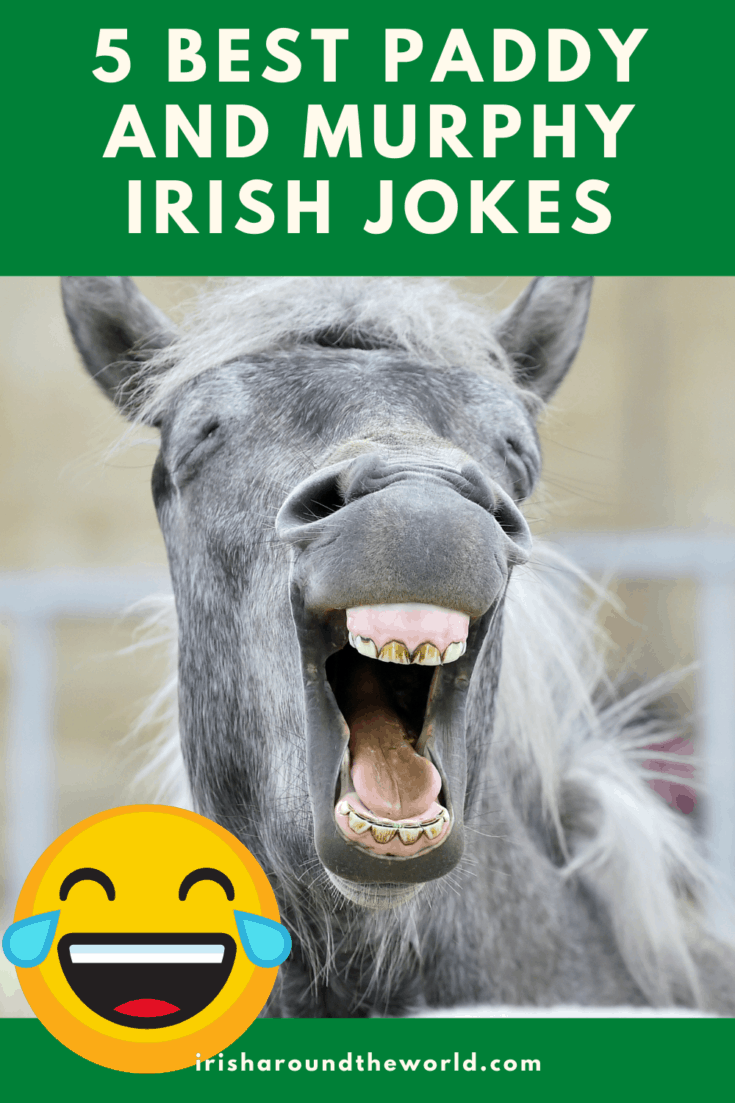 5 Best Paddy And Murphy Irish Jokes Pin Irish Around The World