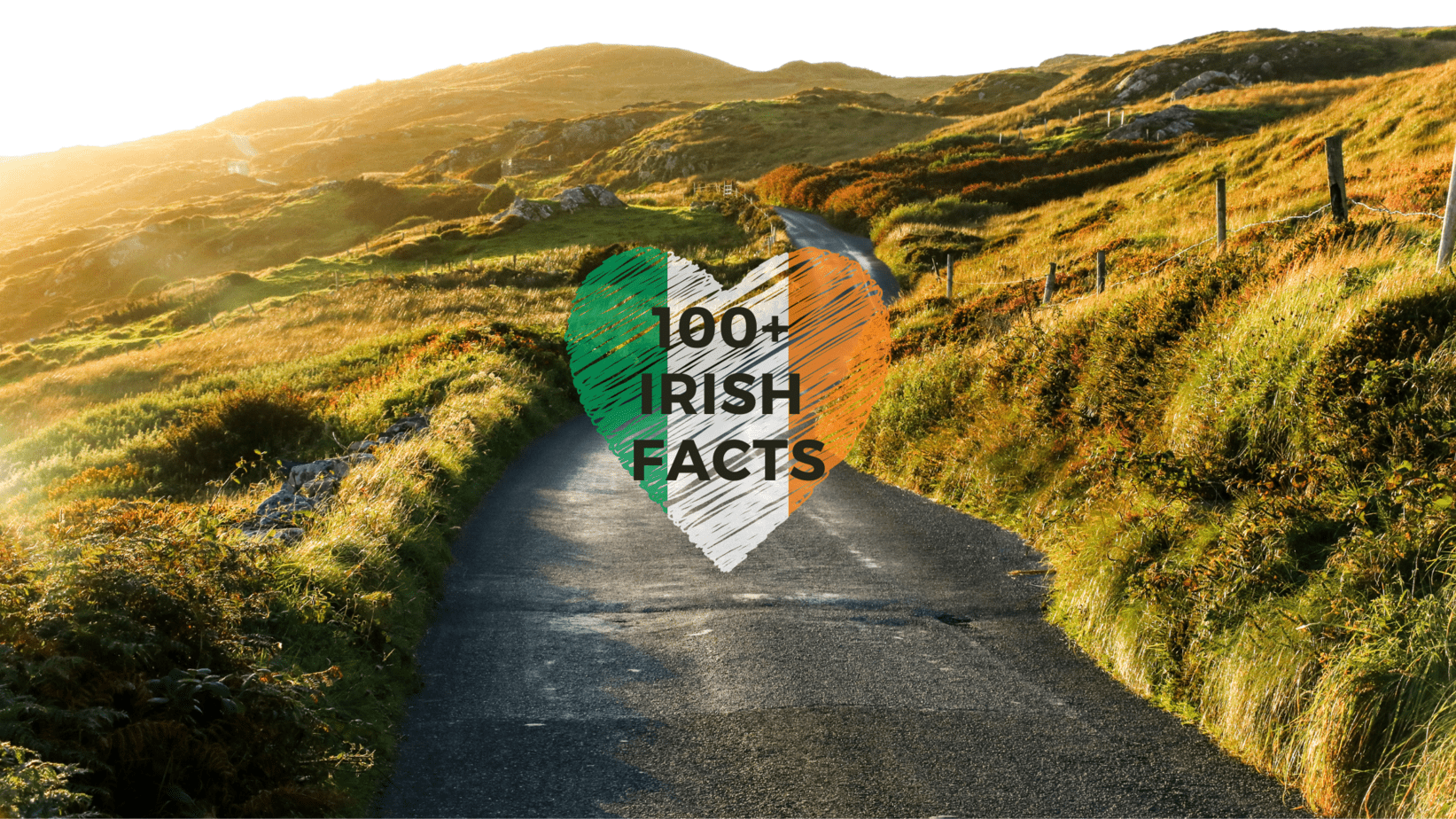 100+ Irish facts