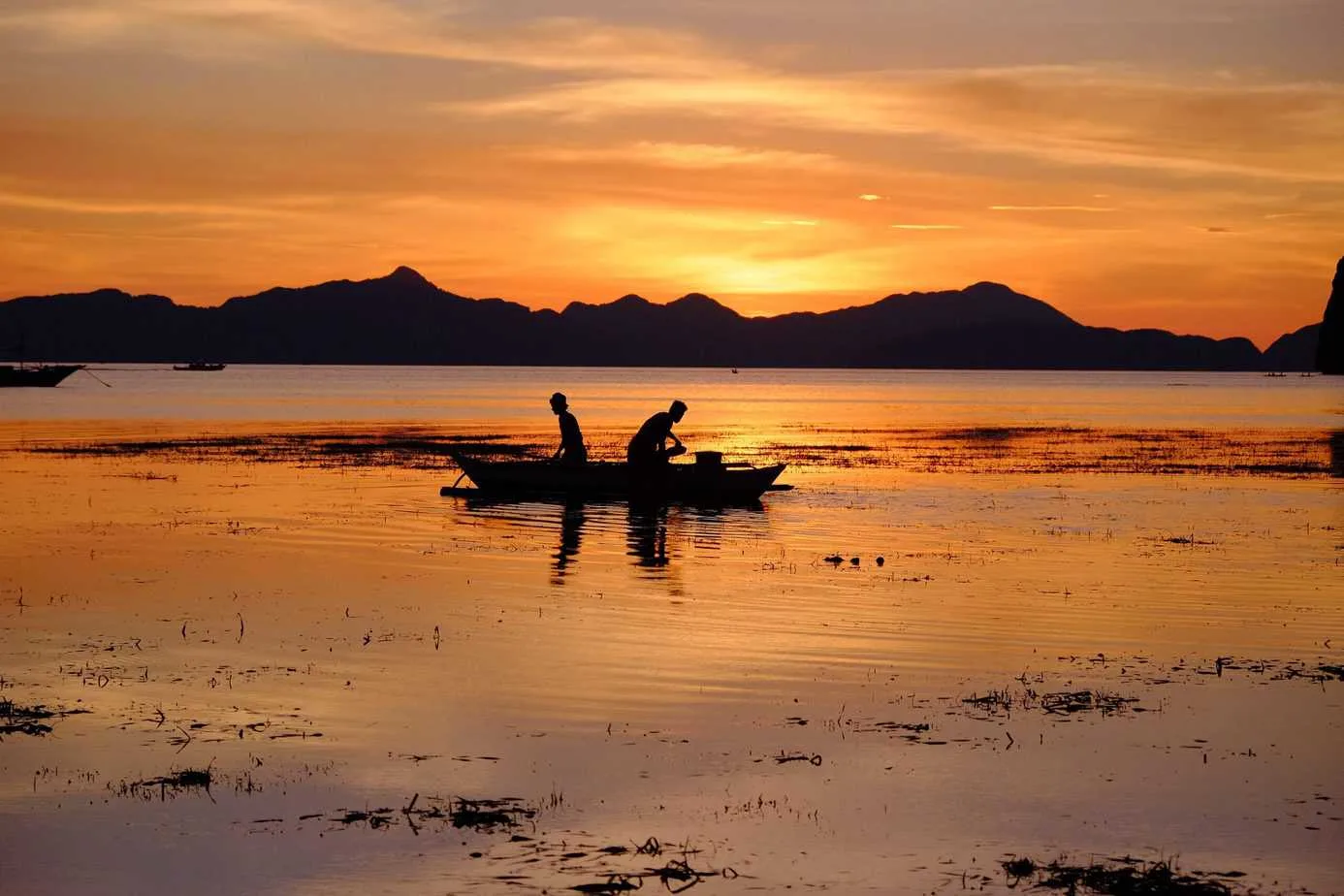 The Song Of Wandering Aengus, by W. B. Yeats - Top Irish Poem Summary