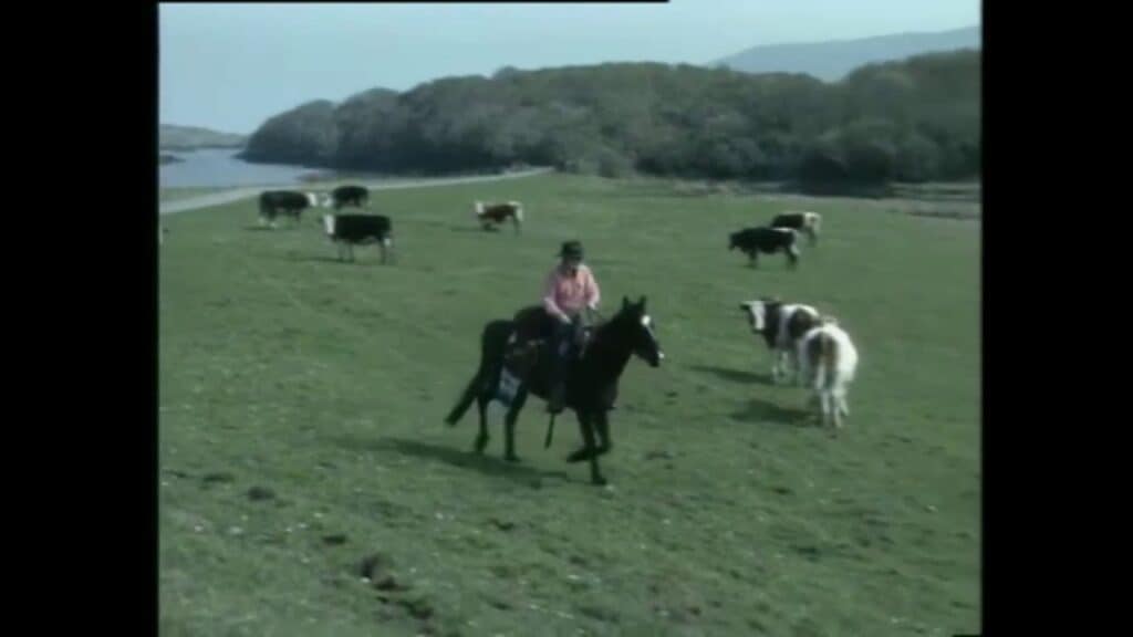 American Who Travelled From Cork To Donegal By Horse, Ireland In 1997