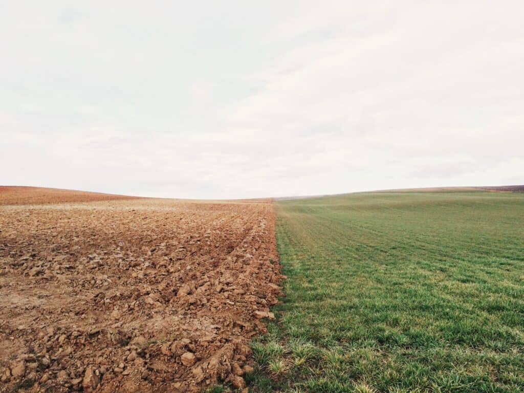Great Irish Poem: Stony Grey Soil, by Patrick Kavanagh