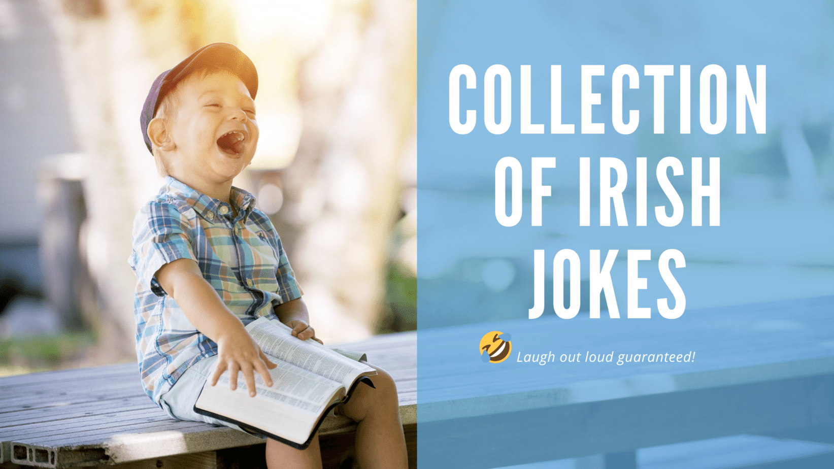 Collection of the funniest Irish jokes