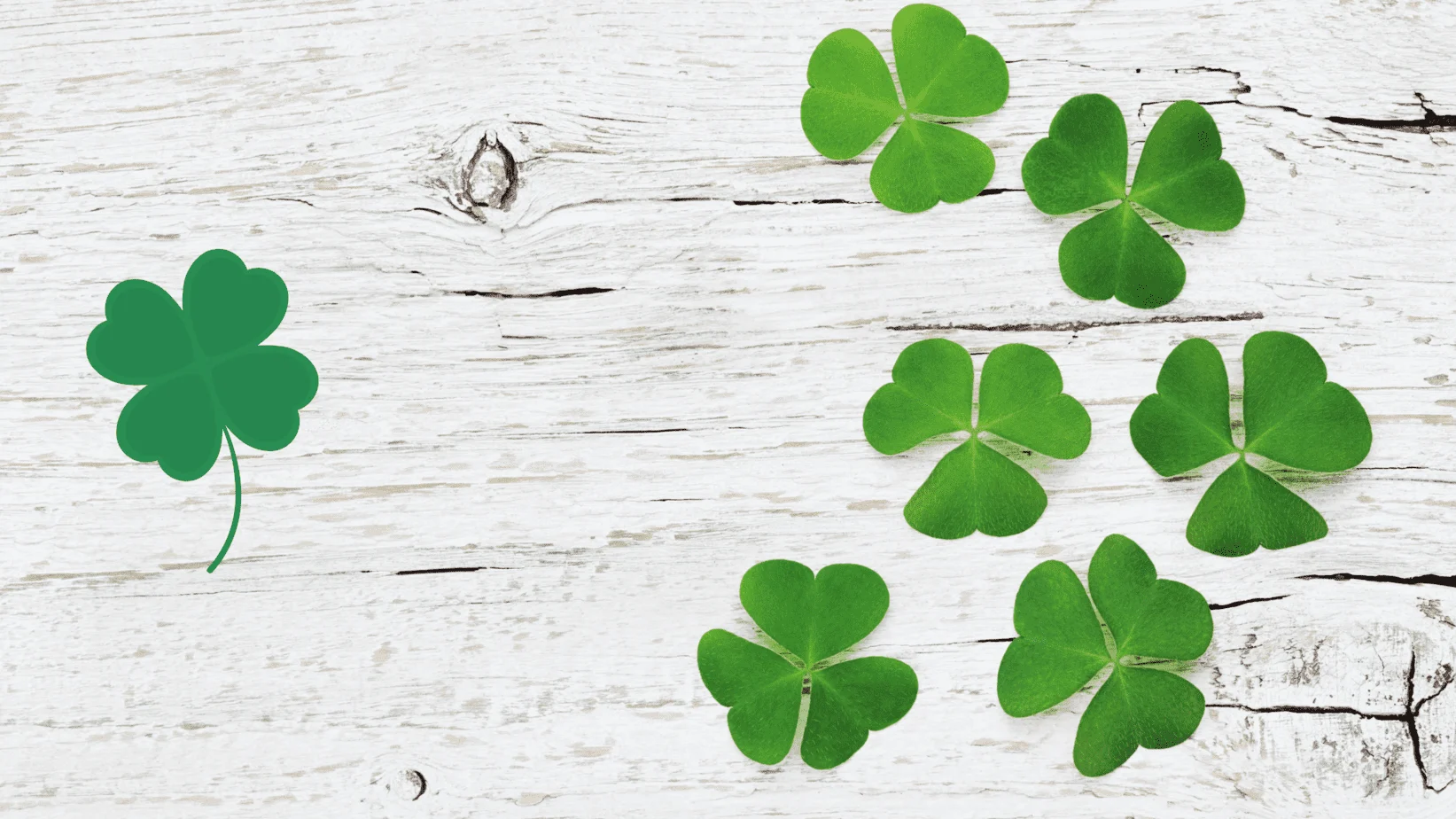 21 Surprising St. Patrick's Day Facts To Celebrate the Holiday