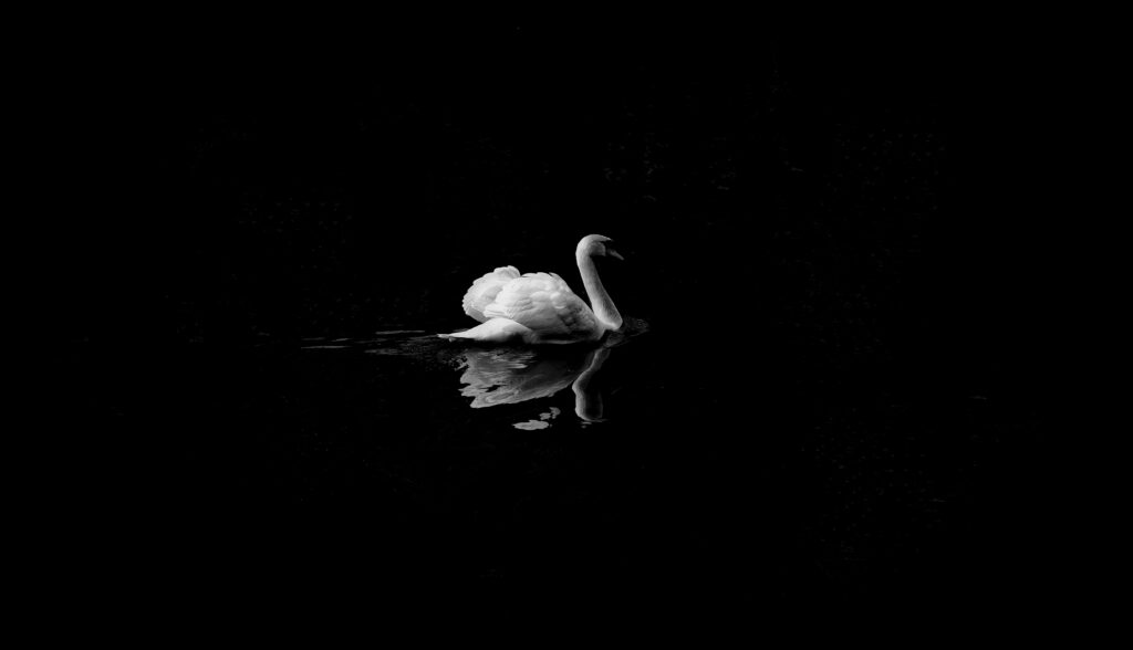 Irish Poem: Leda and the Swan, By W. B. Yeats