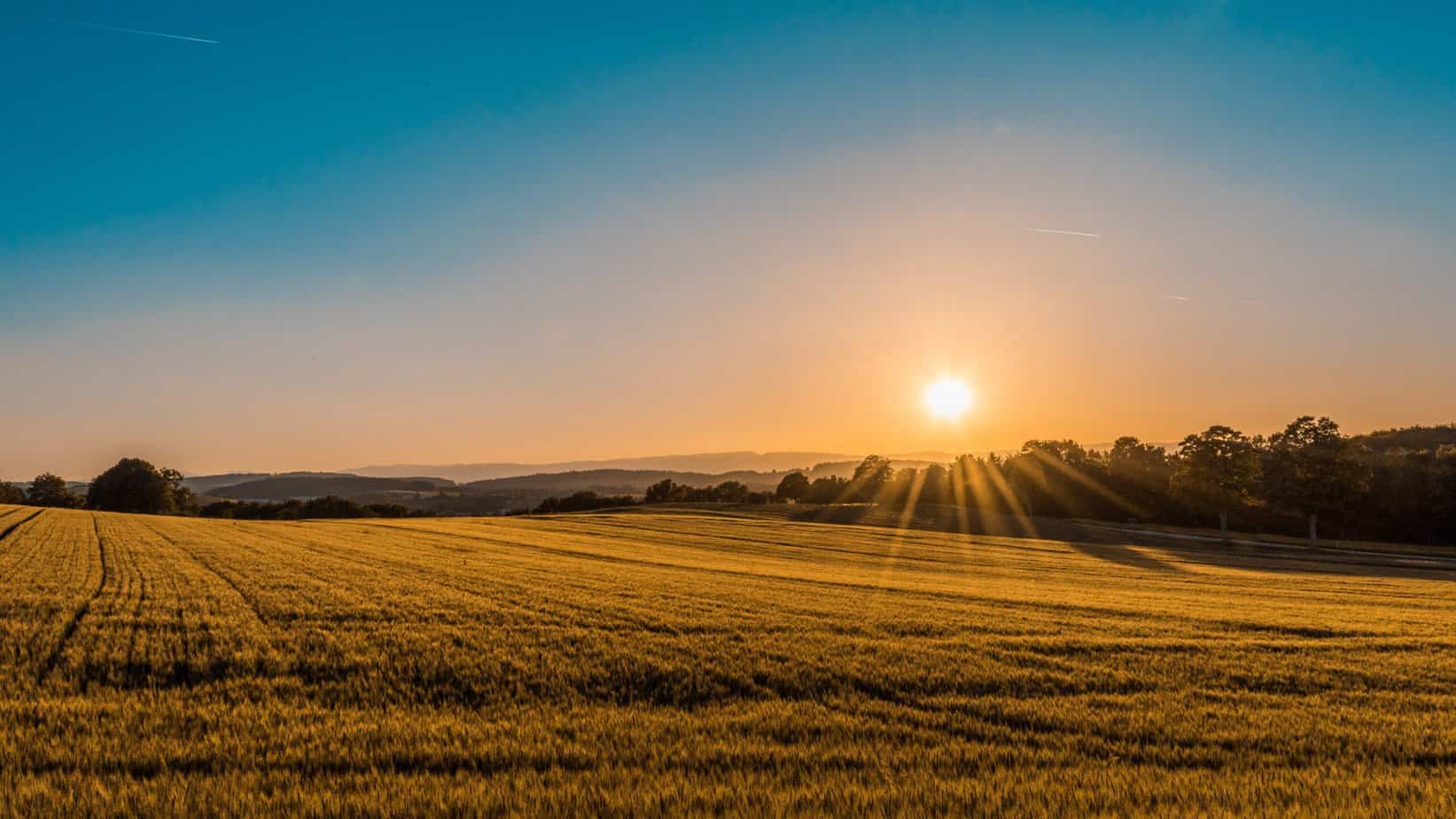 The Planters daughter Irish poem