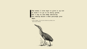 Cathal Bui Mac Giolla Ghunna Poem Yellow Bittern