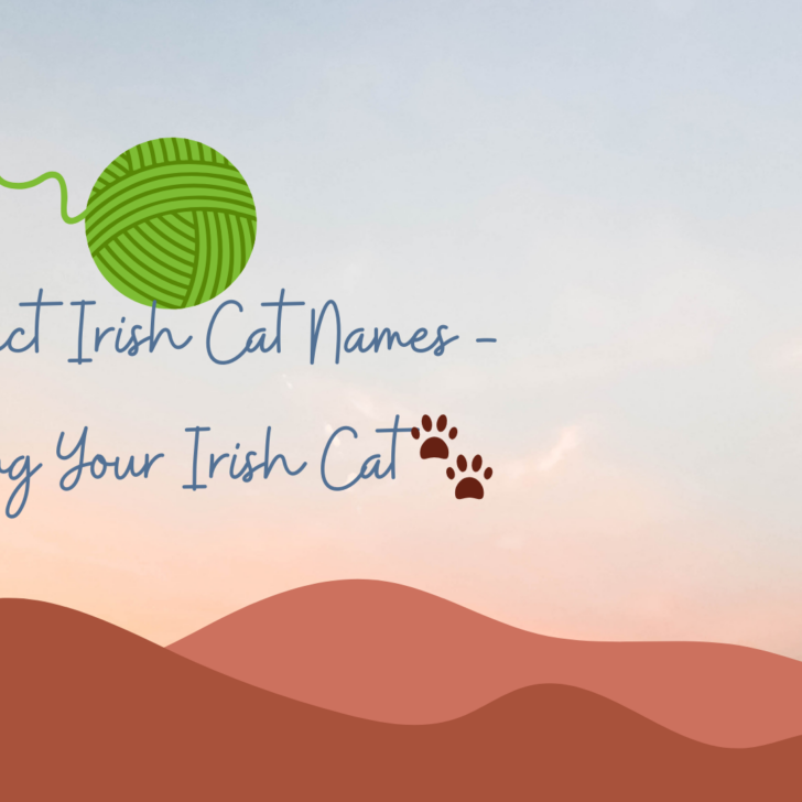 Pawfect Irish cat names