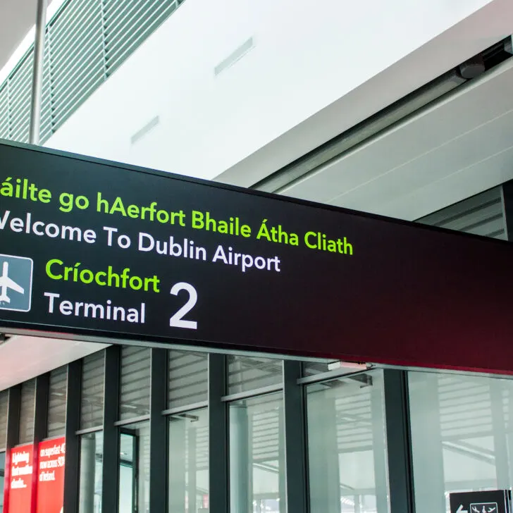 Irish expart returning to Ireland only in Ireland