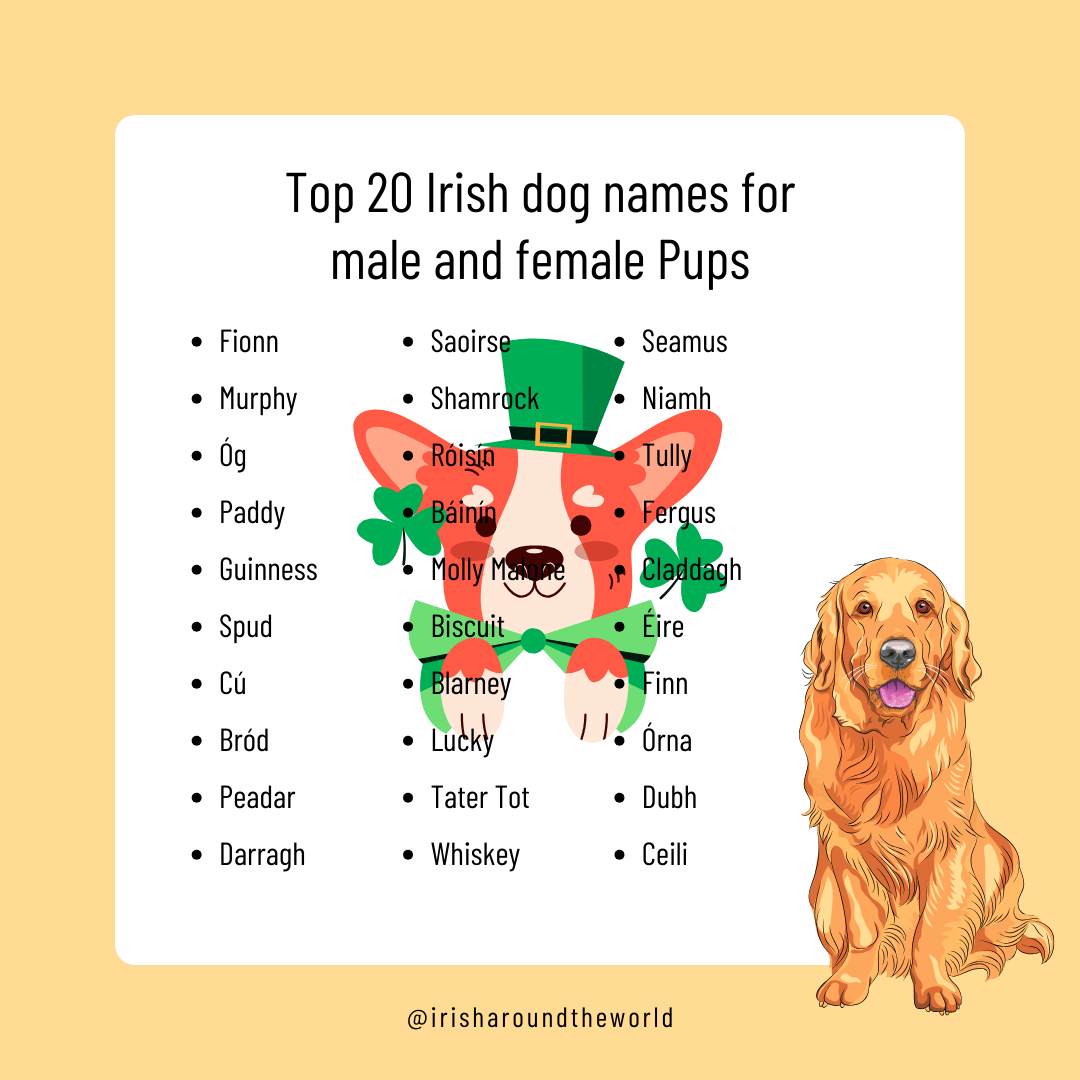 top irish dog names