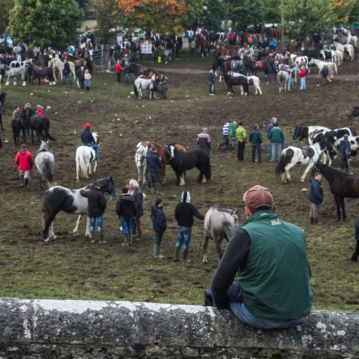 Ballinasloe Horse Fair