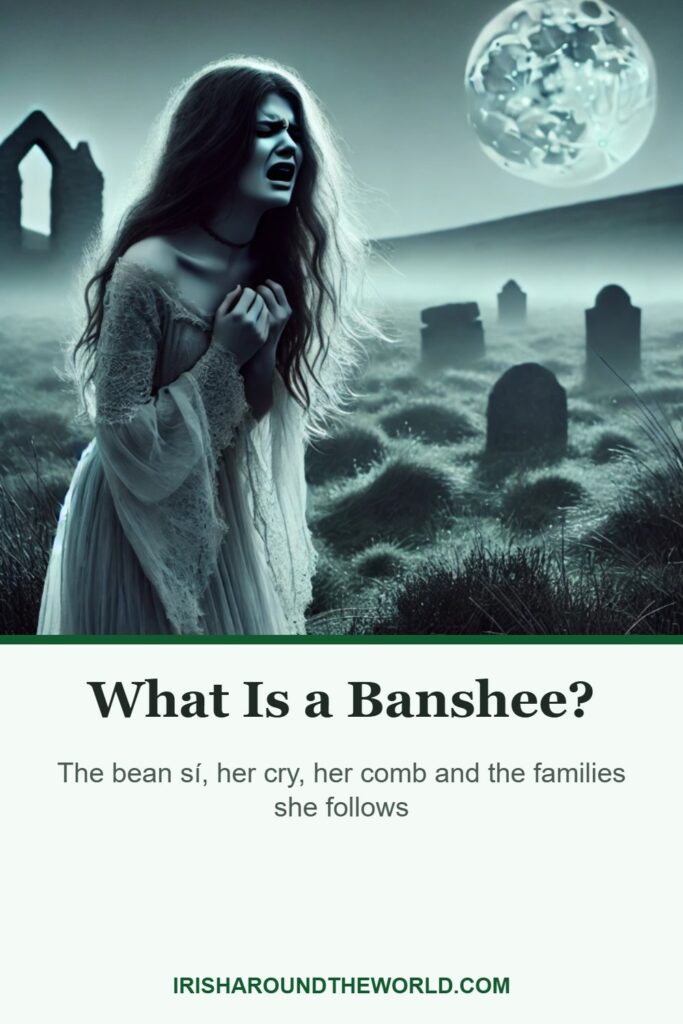 What Is a Banshee?: The bean s&iacute;, her cry, her comb and the families she follows