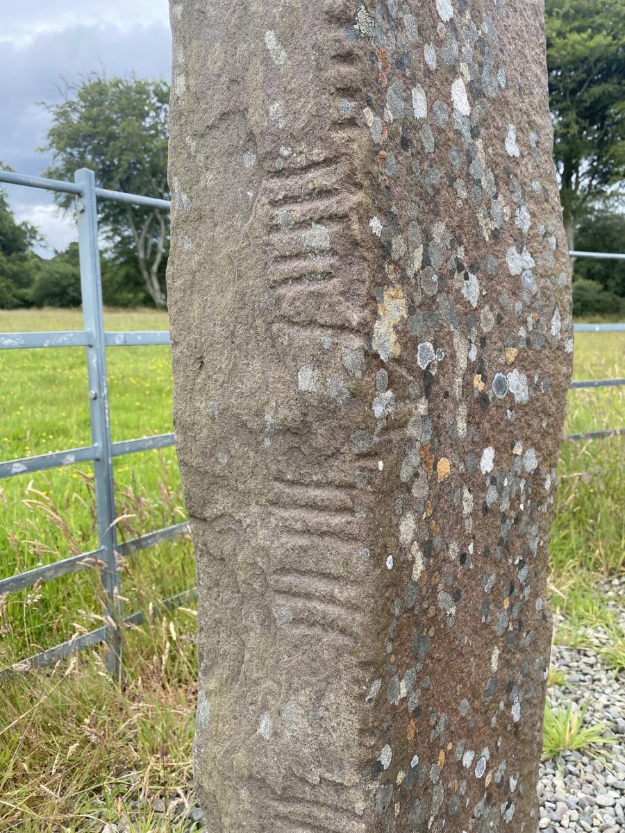 Celtic Tree Zodiac: 13 Signs, Dates, Meanings And History