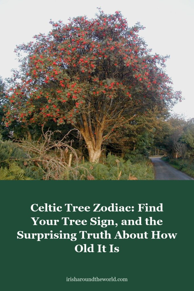 Celtic Tree Zodiac: Find Your Tree Sign, and the Surprising Truth About How Old It Is