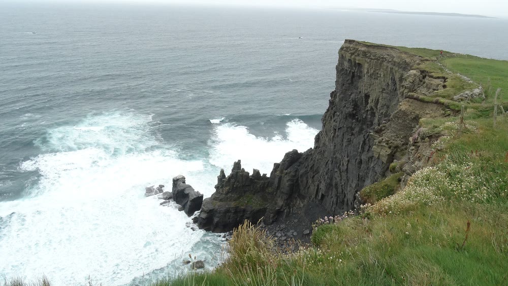 A dark layered cliff and jagged rocks with white surf below, seen from a grassy cliff top with pale pink sea thrift and fence posts
