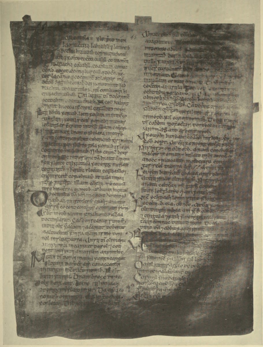 Clonmacnoise manuscript Lebor na hUidre: a worn vellum page in two columns of medieval Irish script, with a large decorated initial at top left