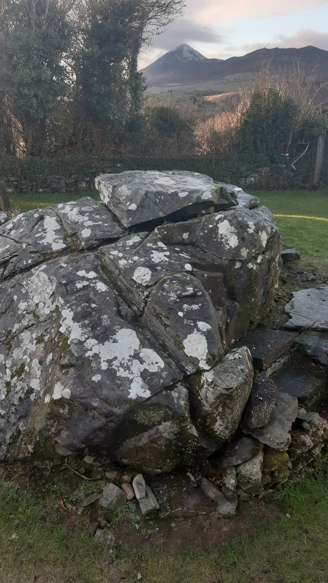 Lichen-covered rock outcrop carved with faint prehistoric cup-and-ring marks, with the pointed cone of Croagh Patrick on the skyline beyond the trees