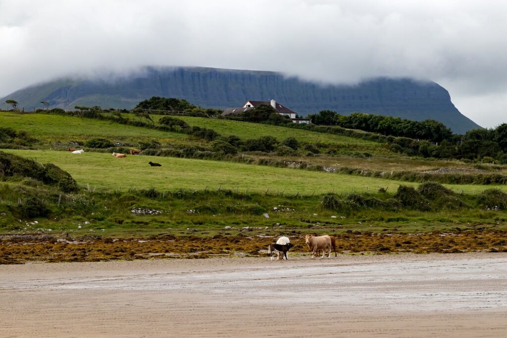 Ben Bulben, the flat-topped mountain in County Sligo where Diarmuid met his death in the legend, under a wide sky
