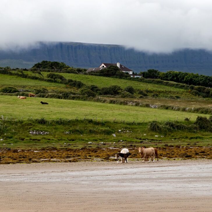 Ben Bulben, the flat-topped mountain in County Sligo where Diarmuid met his death in the legend, under a wide sky
