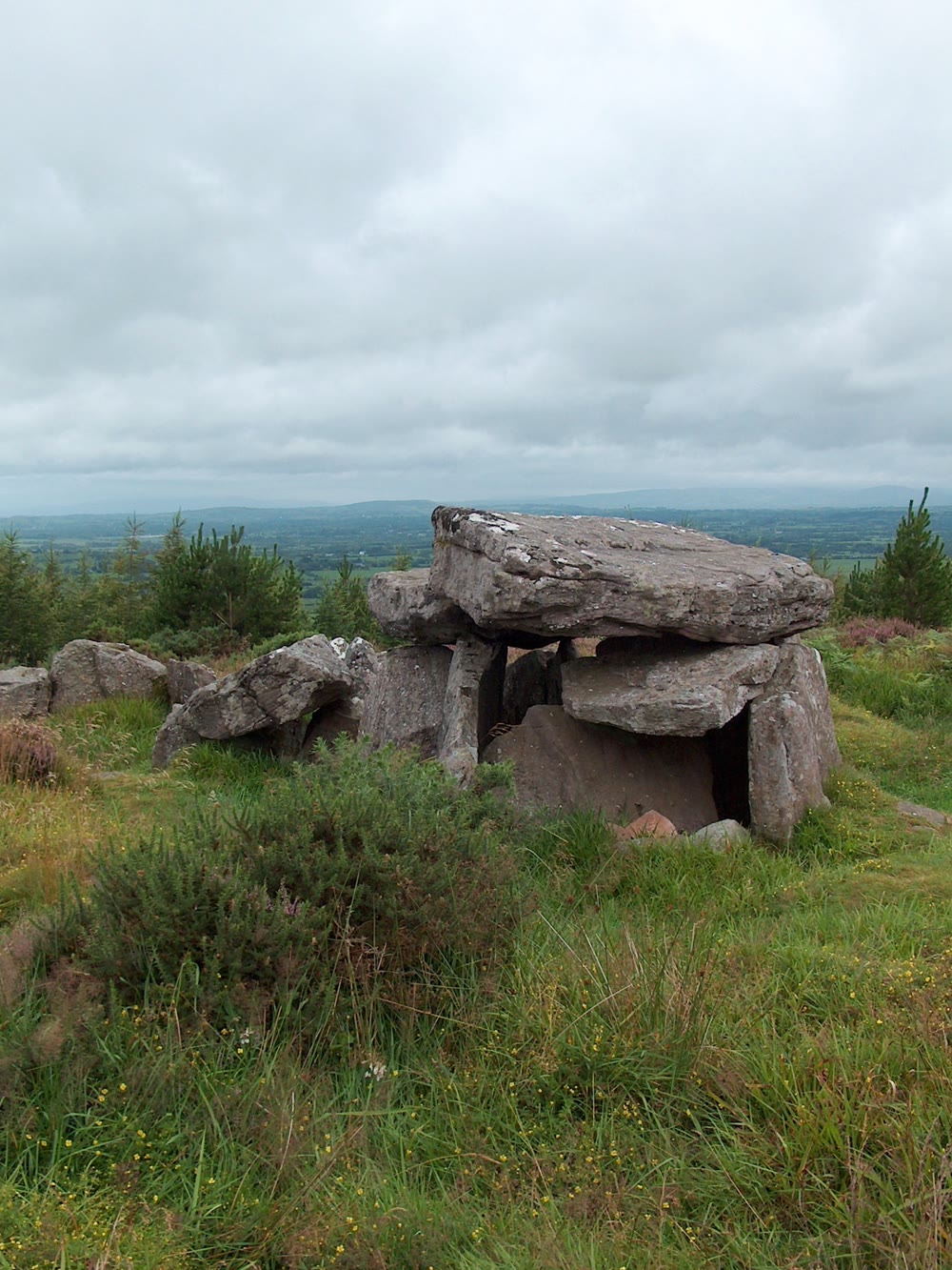 Neolithic passage tomb of large grey capstones on a grassy hilltop at Duntryleague, Co. Limerick, known locally as Darby's Bed after Diarmuid