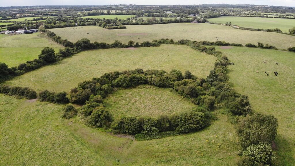 Fairy fort from the air: a ring of trees and bushes enclosing a grassy ringfort in green pasture at Kilclone, Co. Meath, with cattle grazing nearby