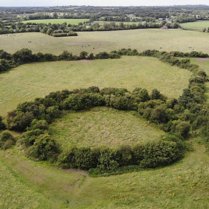 Fairy fort from the air: a ring of trees and bushes enclosing a grassy ringfort in green pasture at Kilclone, Co. Meath, with cattle grazing nearby