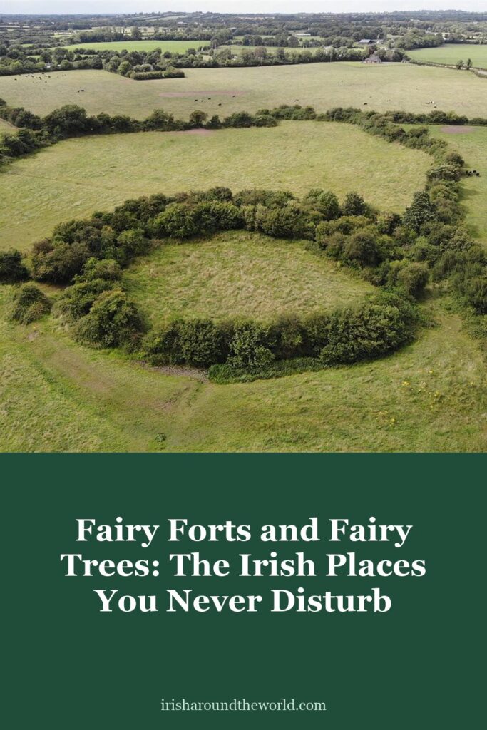 Fairy forts and fairy trees: the Irish places you never disturb.