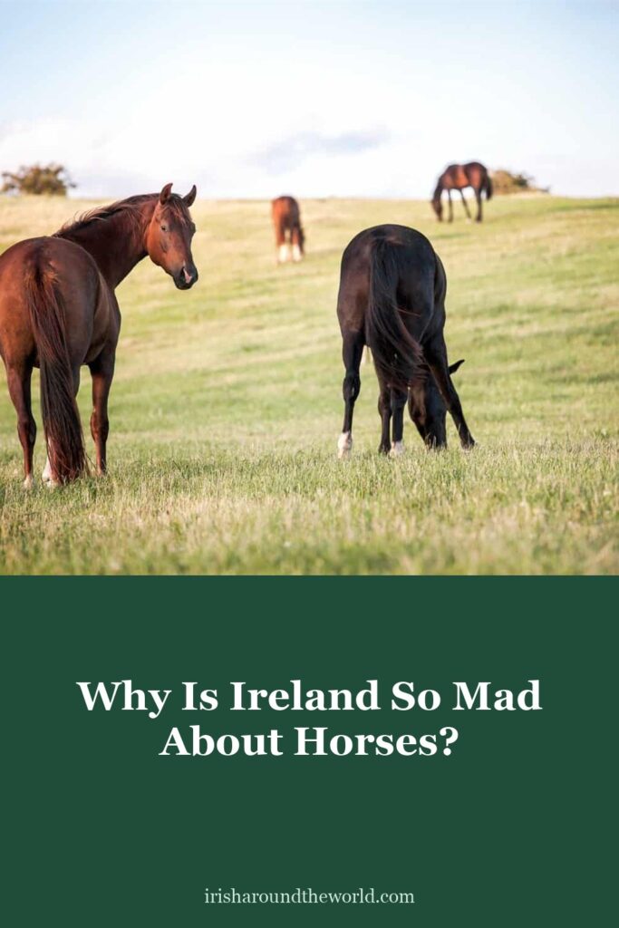 Why Ireland is so mad about horses: history, racing and breeding