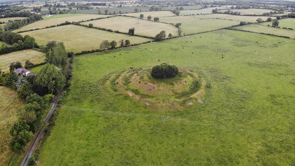Aerial view of an Irish ringfort in pasture: a round grassy enclosure with a raised circular bank and ditch, a clump of trees in the middle and cattle grazing in the fields around it
