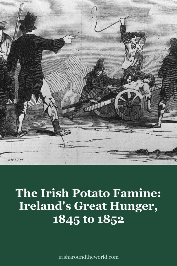 The Irish Potato Famine: Ireland&rsquo;s Great Hunger, 1845 to 1852
