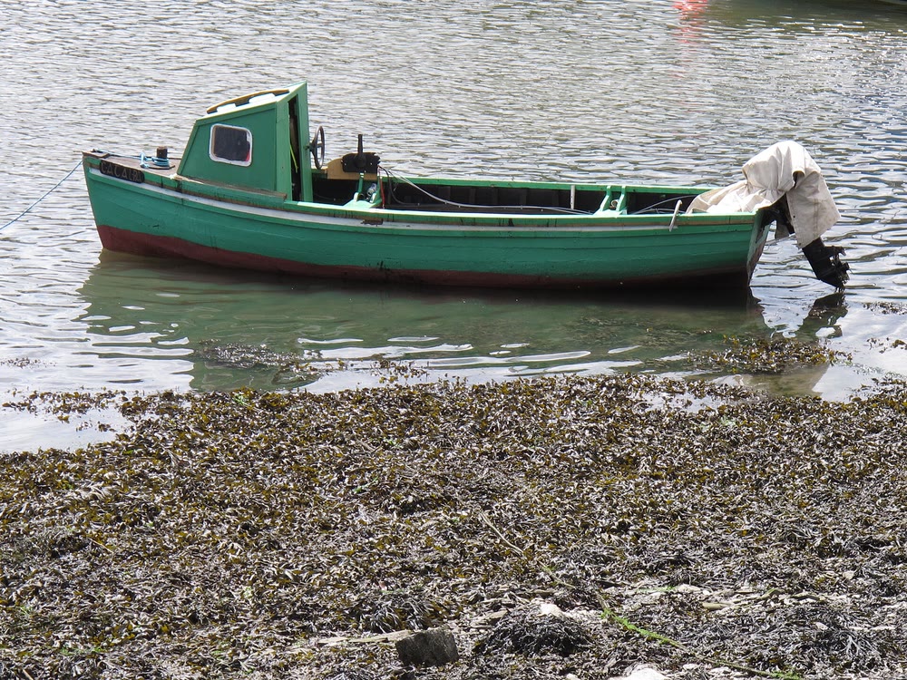 A small green wooden fishing boat with a wheelhouse and an outboard motor, moored in shallow water beside a seaweed-covered shore in Kinsale Harbour